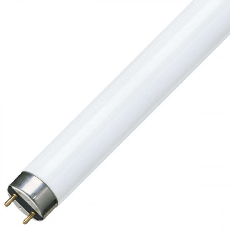 Trubice zař.F58W/T8/840     OSRAM GE