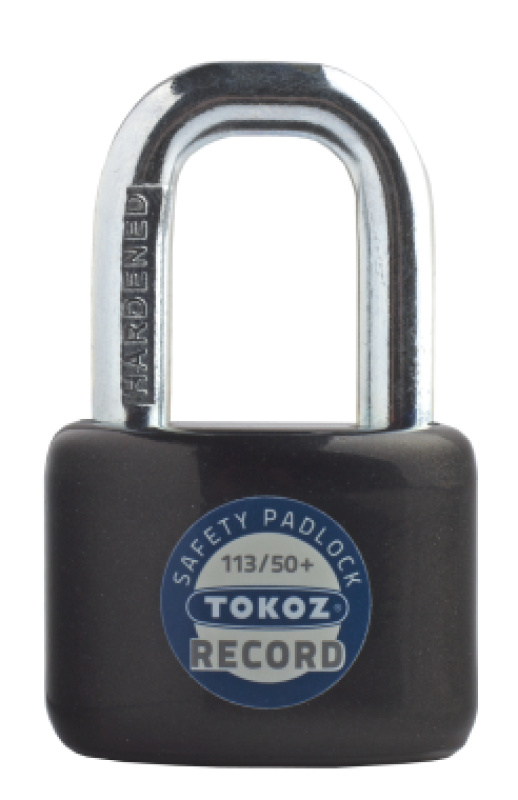 Zámek vis.113/50+Record 201931