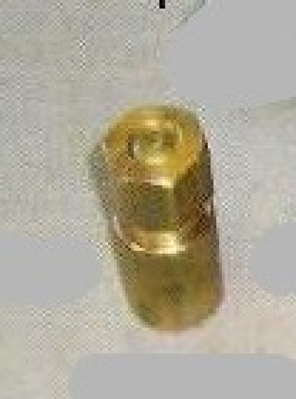 Tryska malířská  1542  DRUPOL