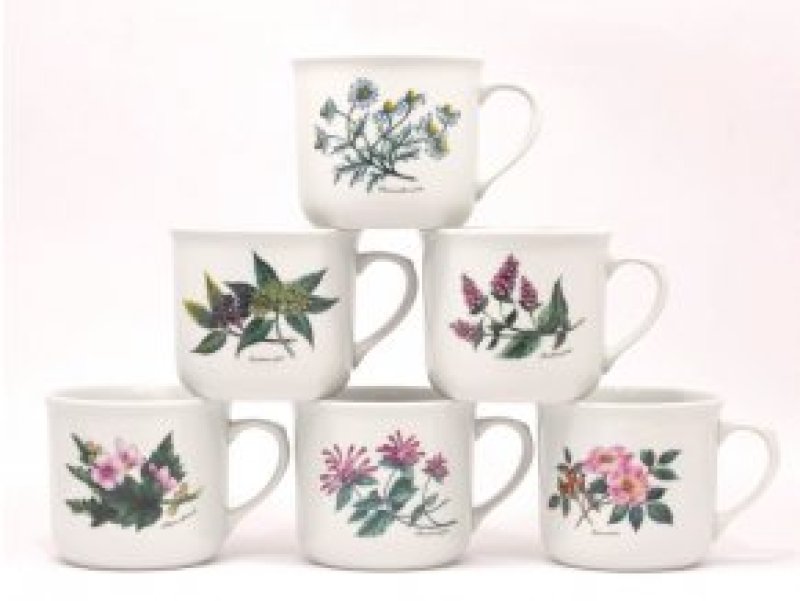 Hrnek vařák 0,65 BYLINY Dubí