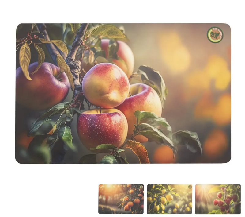 Prostírání UH 43x28cm ovoce mix