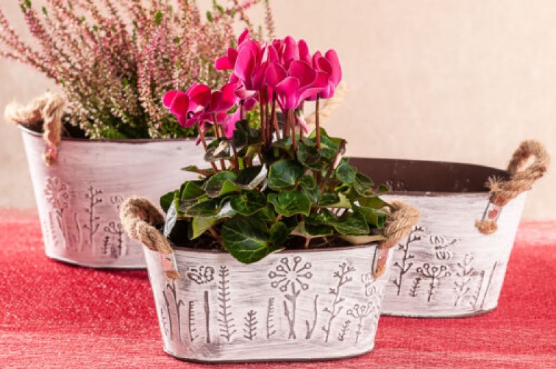 Obal na květ.Rasputin ovál 19cm