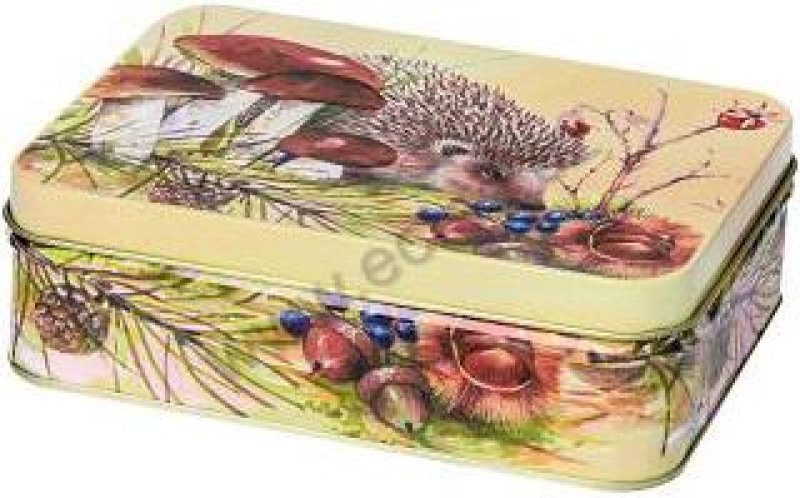 Plech.obd.142x102 ježek s houbami