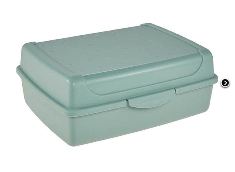 Box svačin.17x13x7cm s.zelená