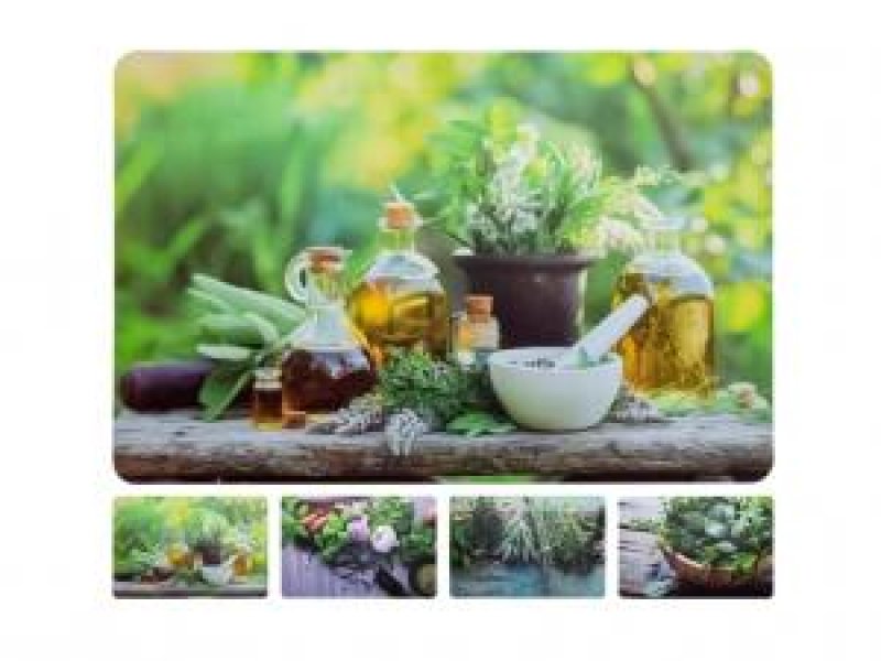 Prostírání MAPY mix 43x28cm