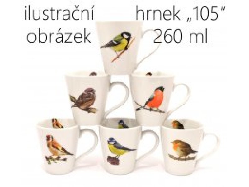 Hrnek dekor PTÁČCI mix 2.j.