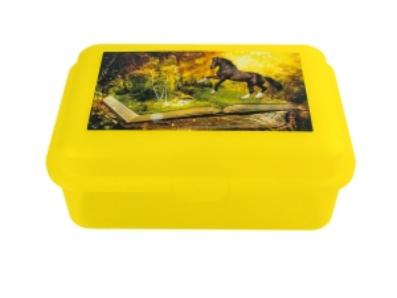 Box svačin. SNY A KŮŇ  18x13x7cm