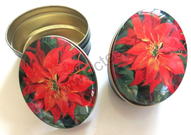 Miniovál RED RUBY poinsetie