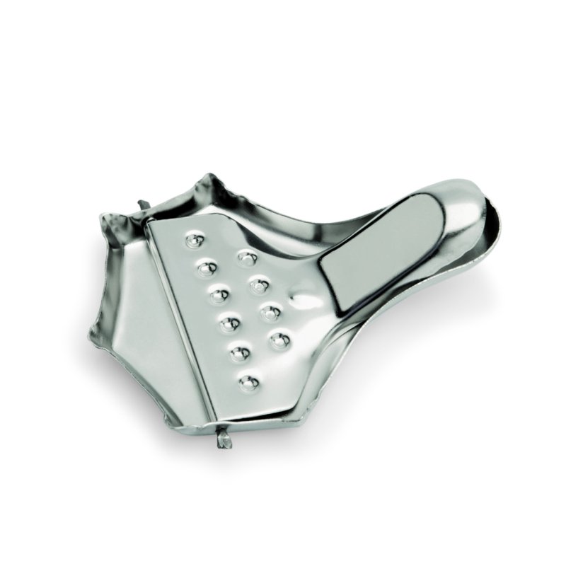 Lis na plátek citronu