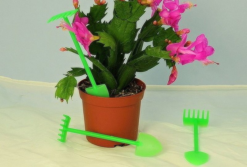 Kypřítko - sada 3ks