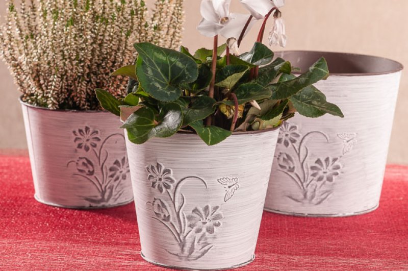 Obal na květ.Klaudius 16cm