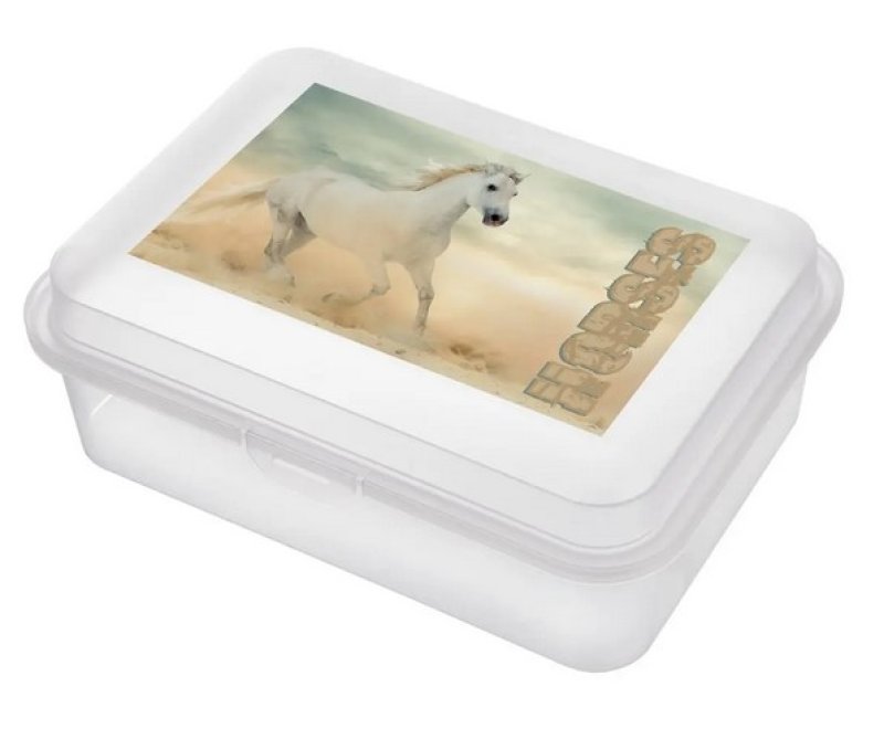 Box svačin.18x13cm KŮŇ