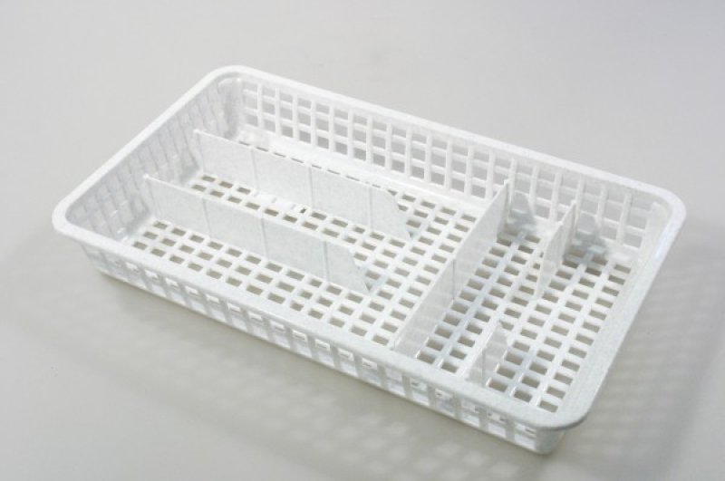 Příborník úzký    021120